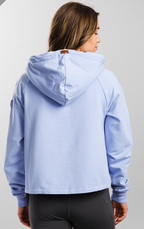 Leelee Lux Baby Blue Jay Half-Zip Hoodie